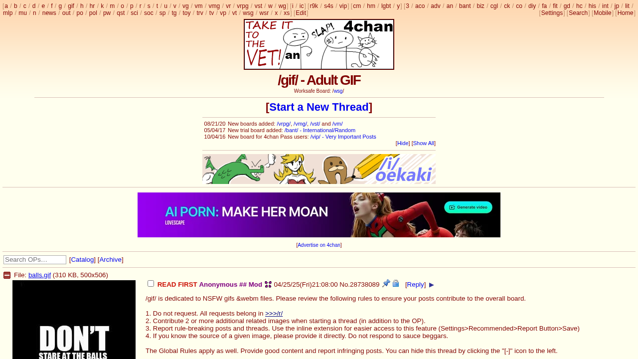 4Chan Adult GIF screenshot