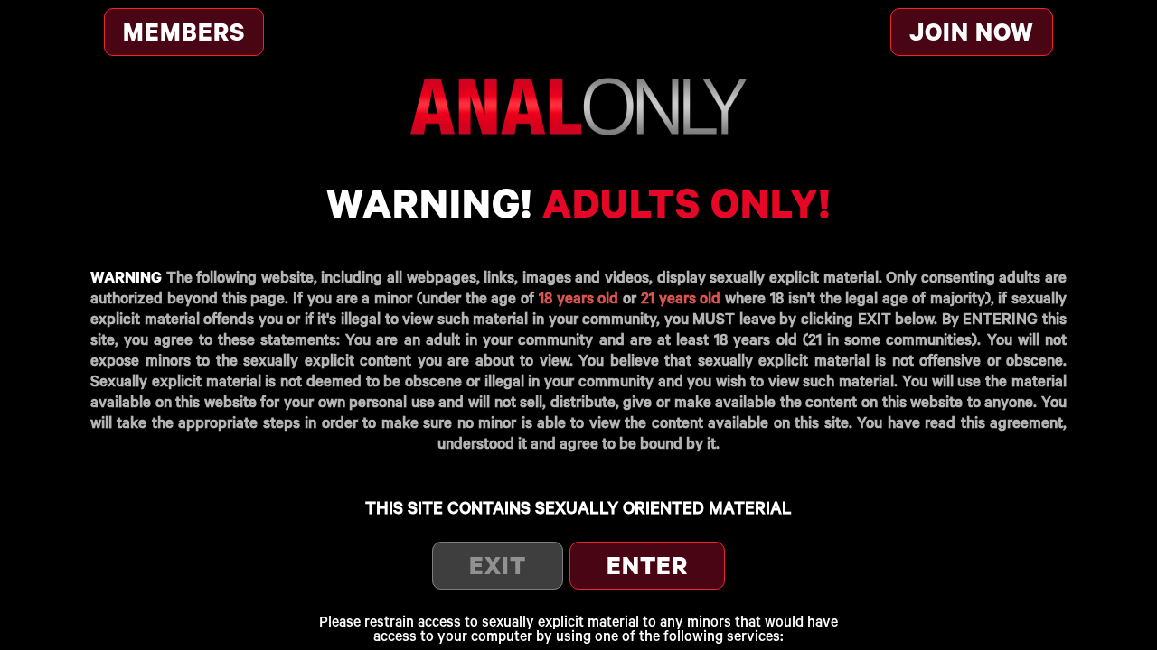 Anal Only screenshot