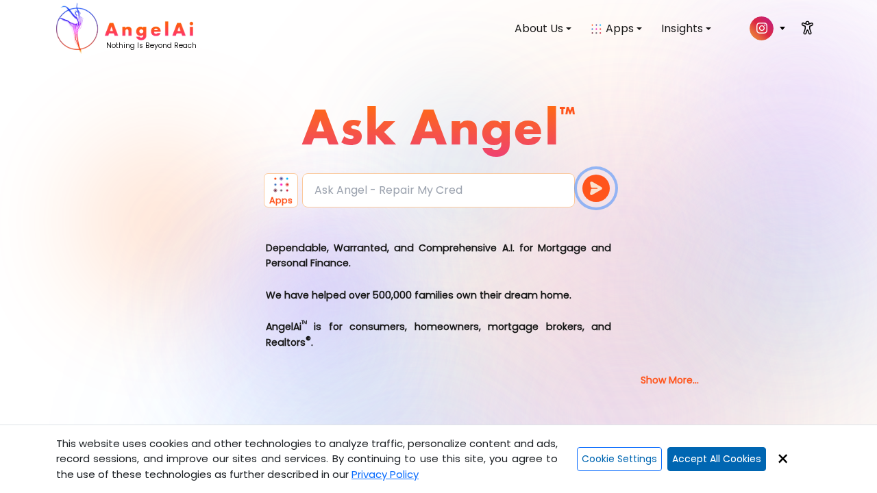 Angel.ai screenshot