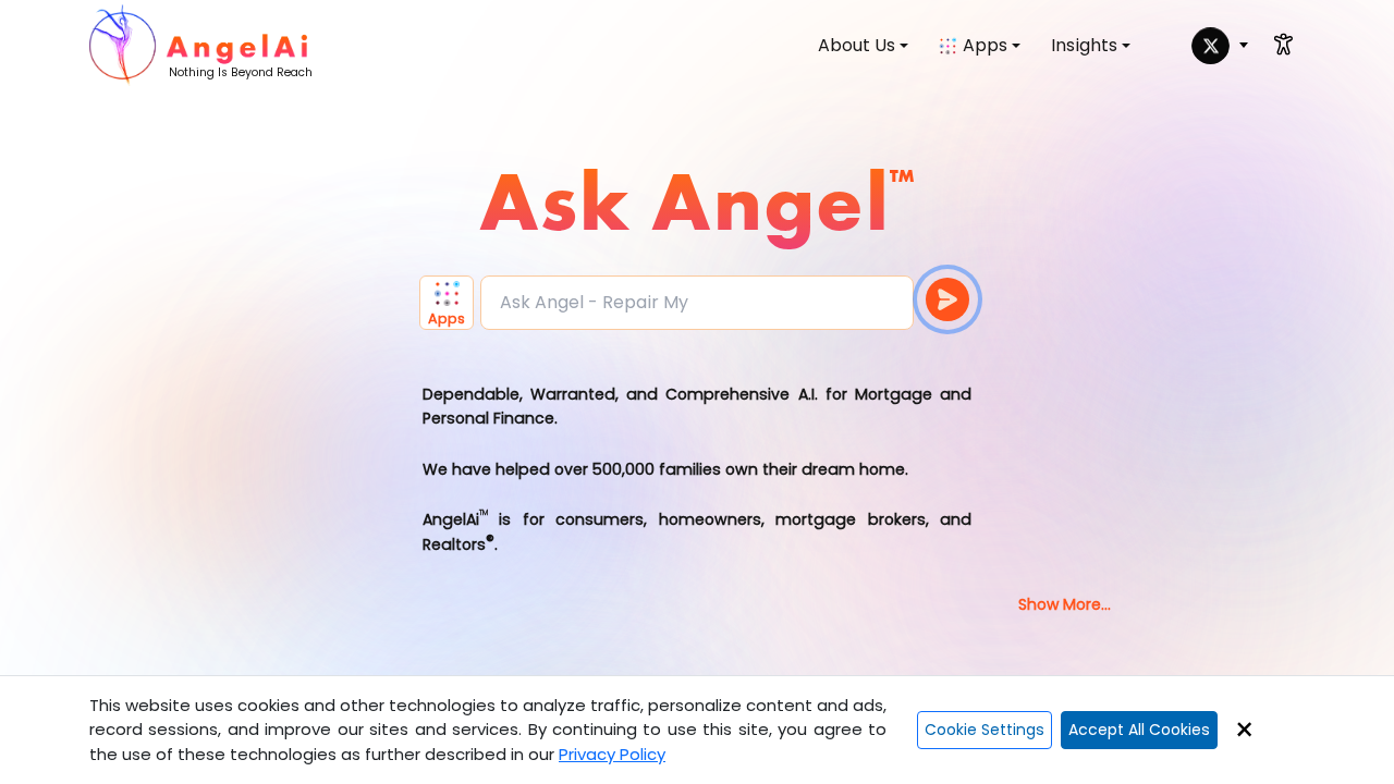 Angel.ai screenshot