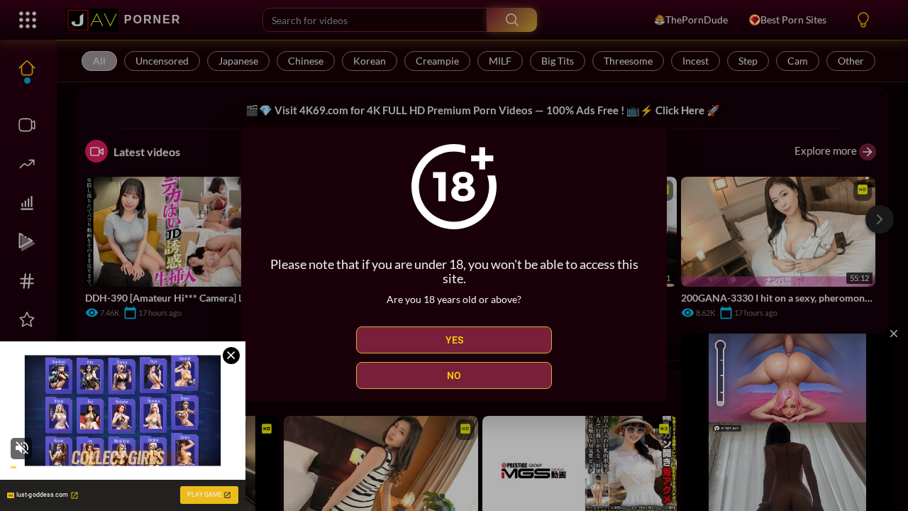 AV Porner screenshot