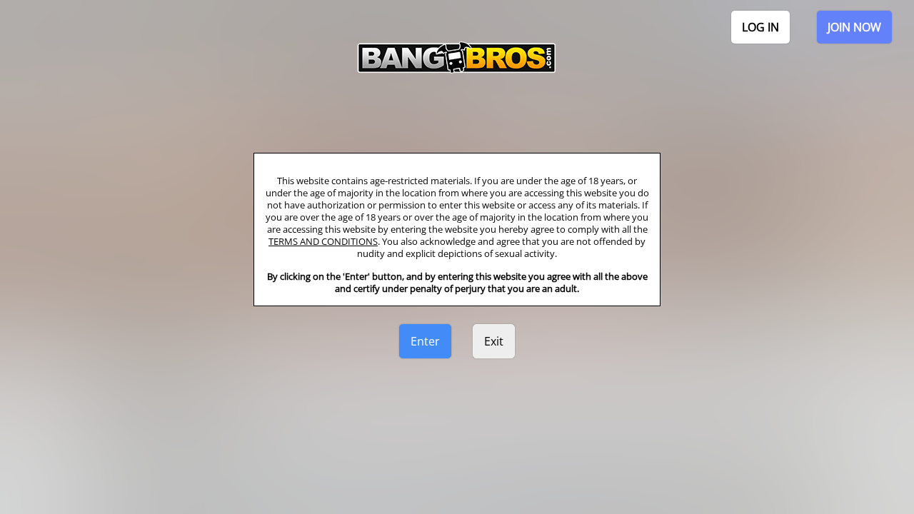 BangBros screenshot