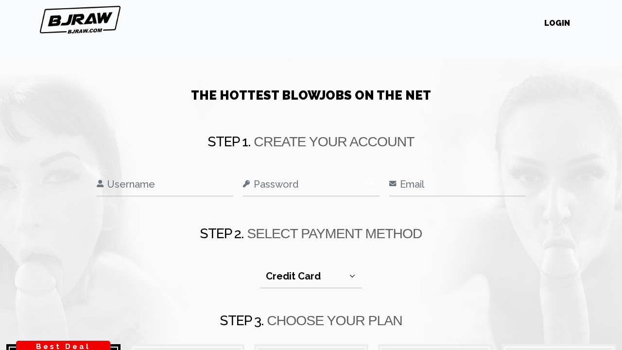 BJRaw screenshot