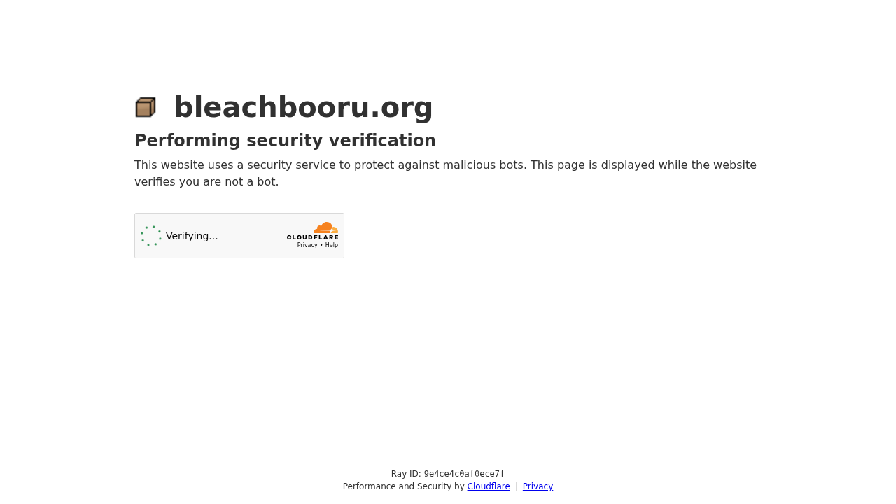 Bleachbooru screenshot