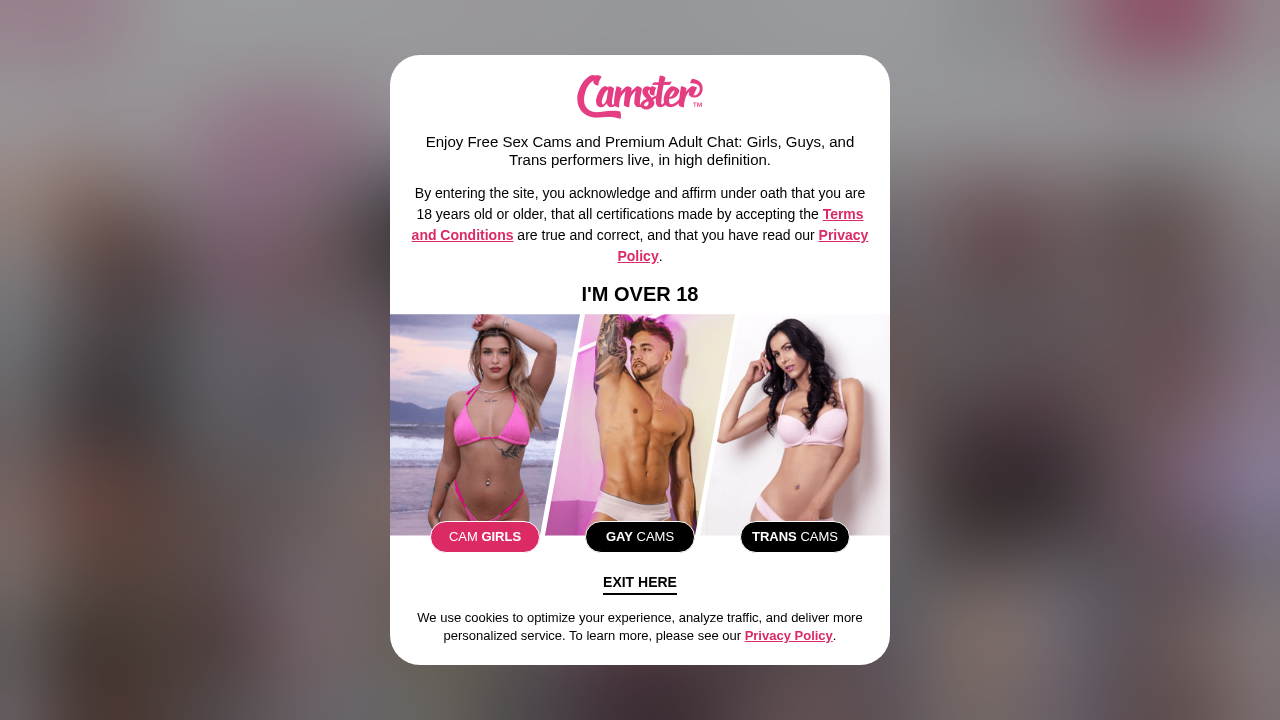 Camster screenshot