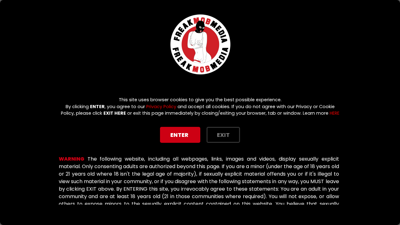 FreakMobMedia screenshot