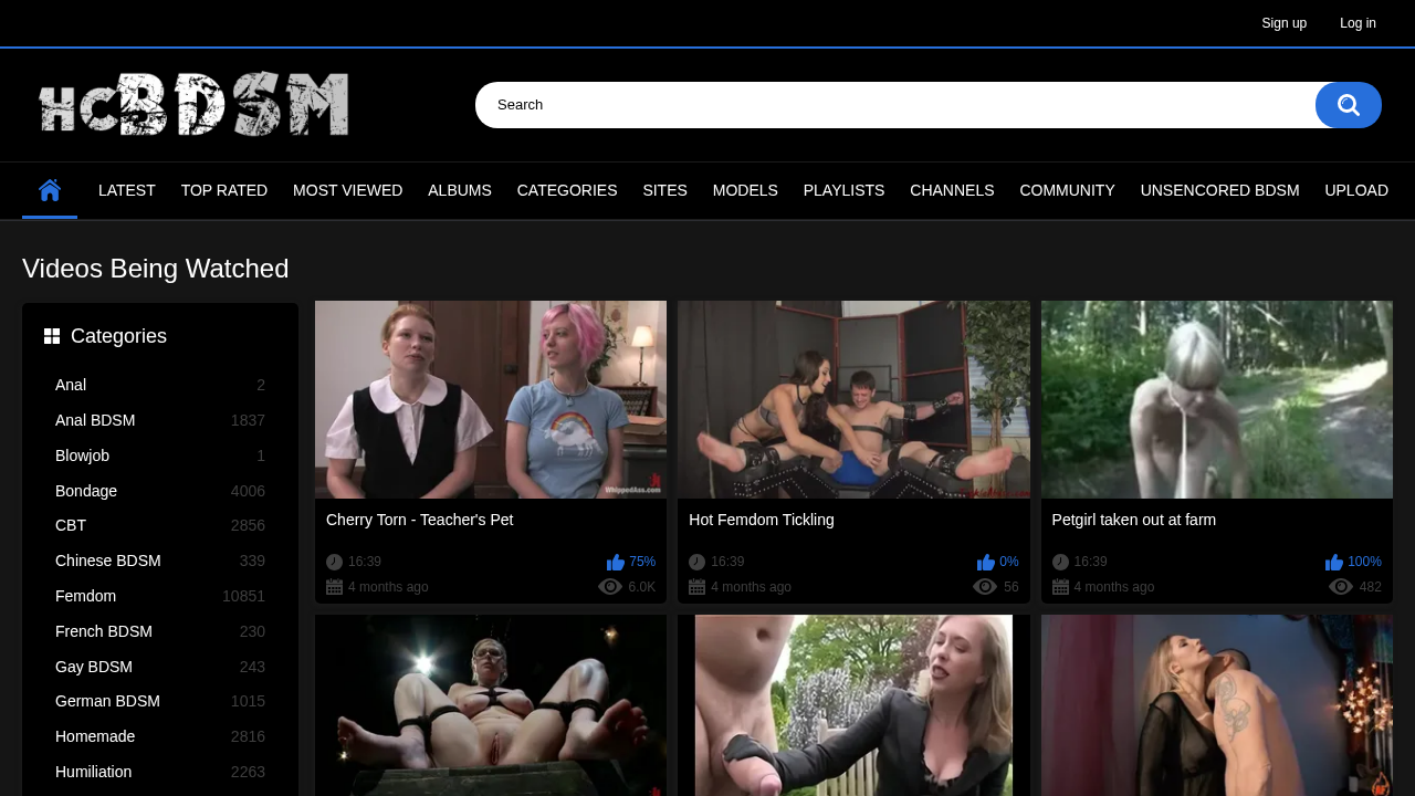 hcBDSM screenshot