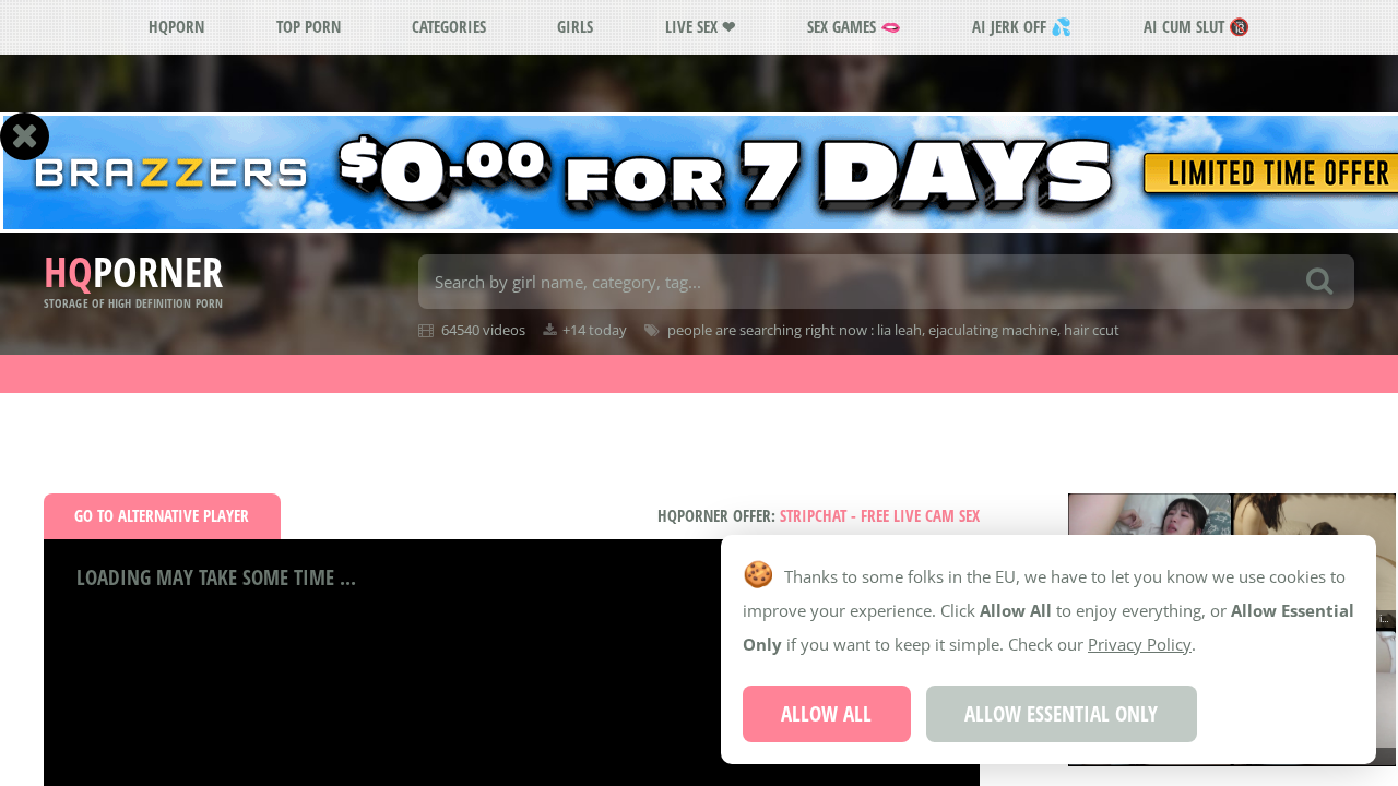 HQporner screenshot