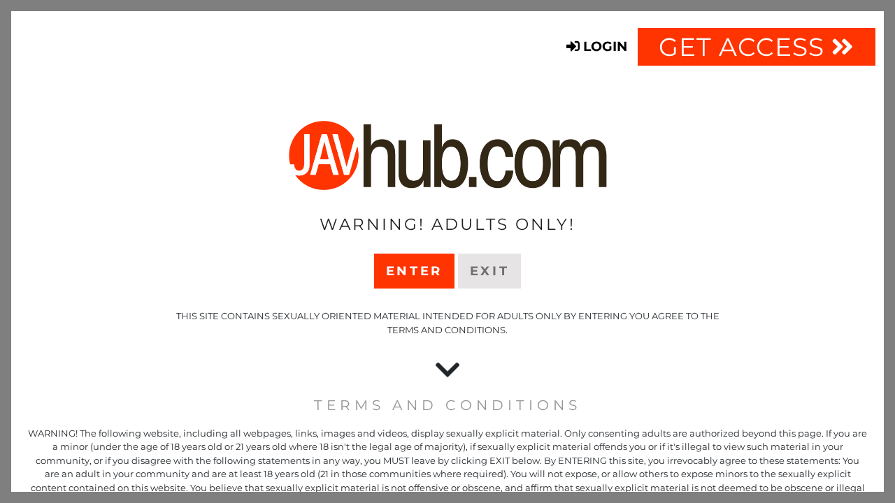 JavHub screenshot
