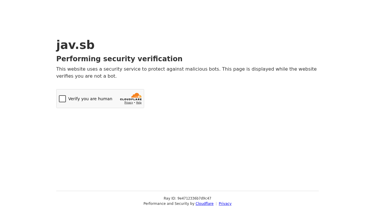 JAVSB screenshot