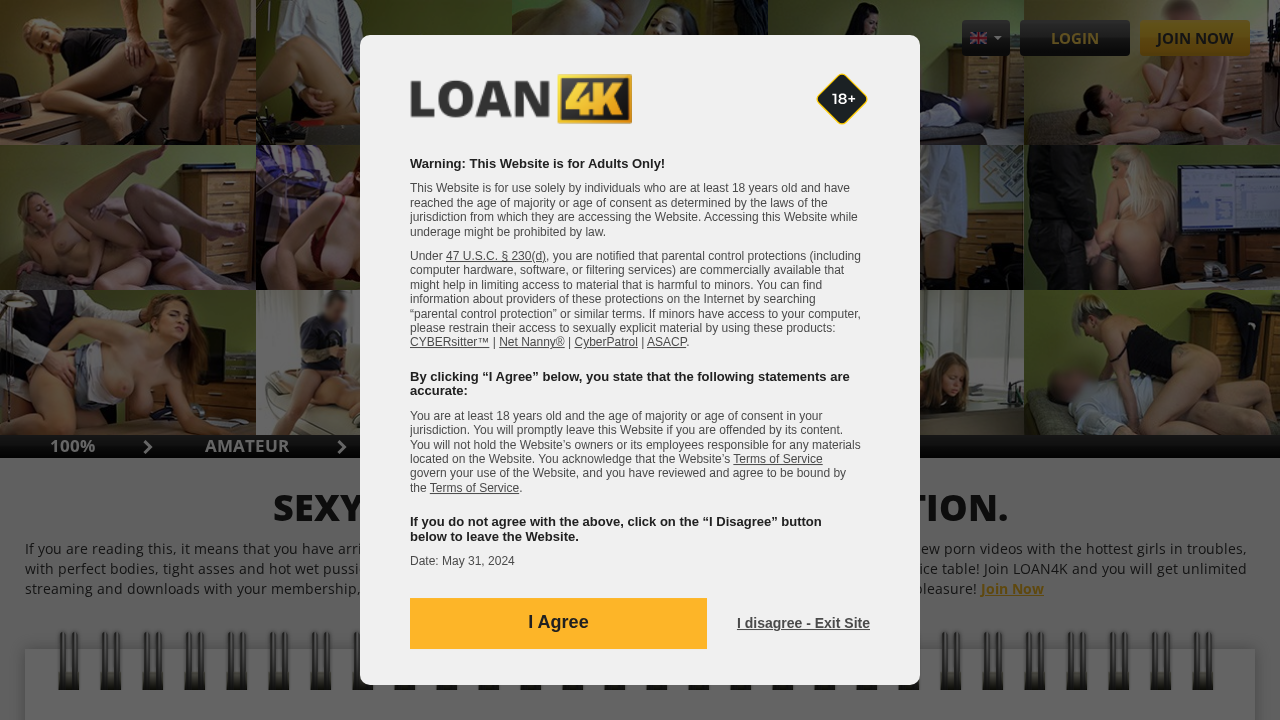 Loan4K screenshot