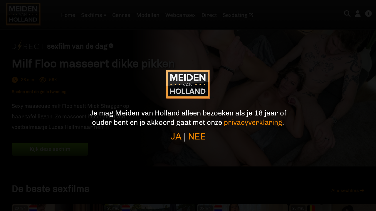 Meiden Van Holland screenshot