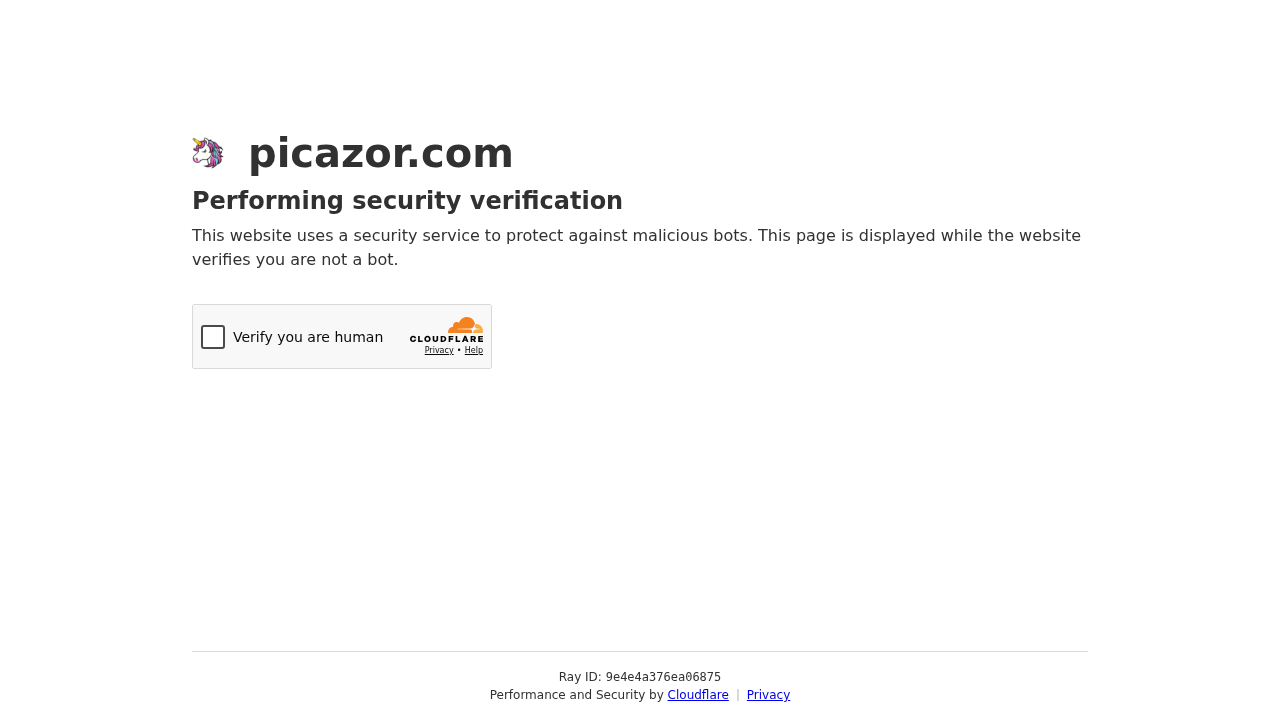 Picazor screenshot