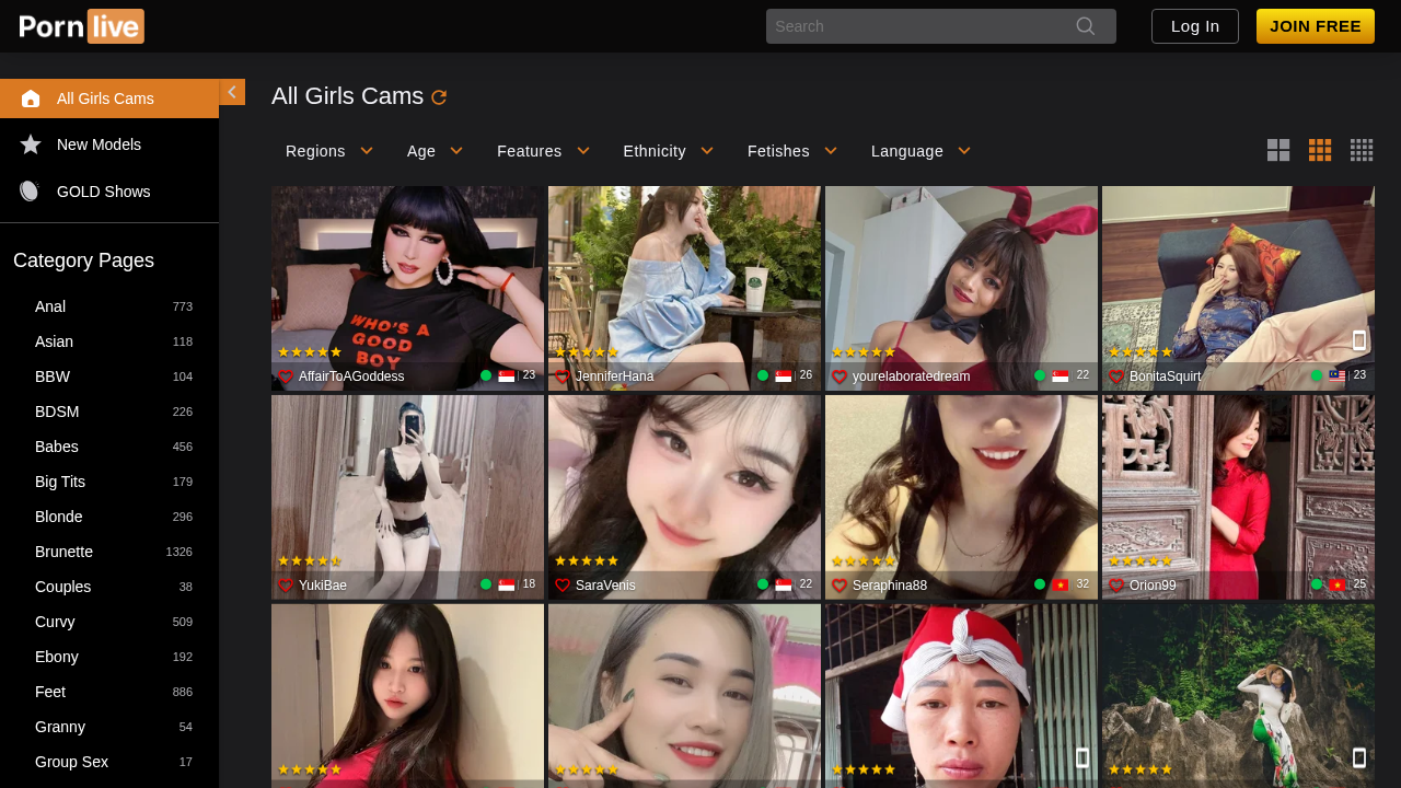 PornHaven screenshot