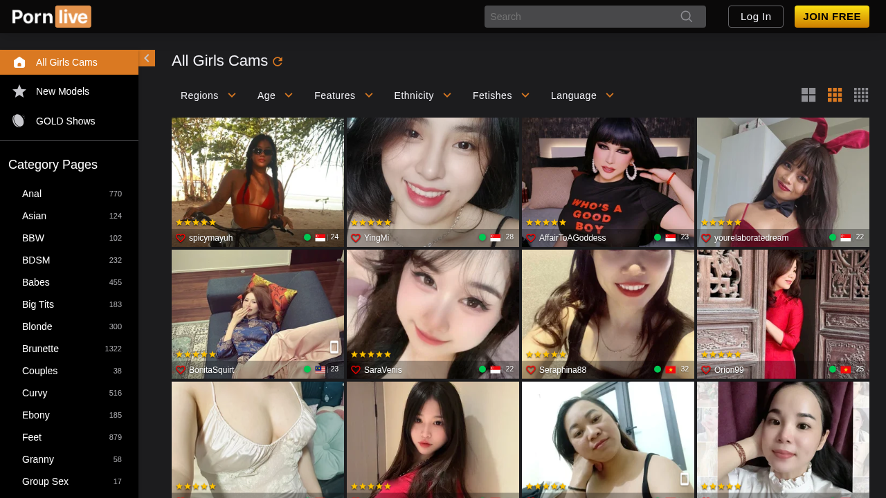 PornHaven screenshot