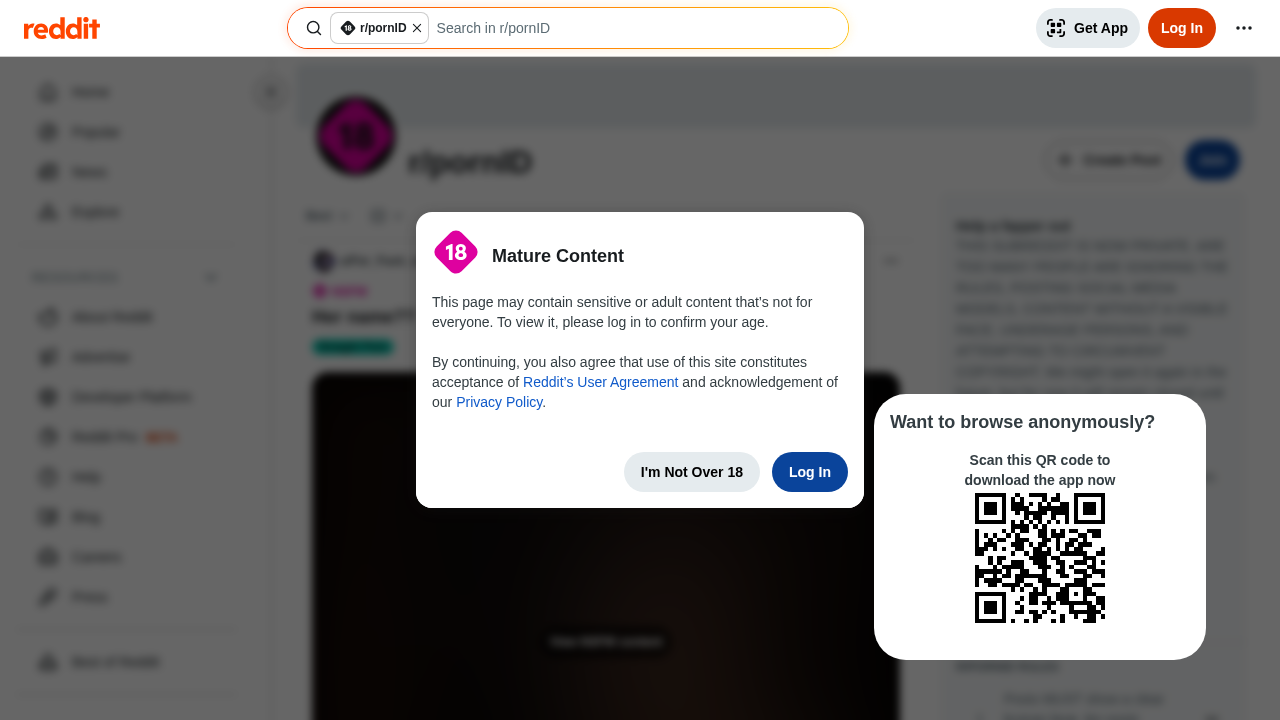 PornID screenshot