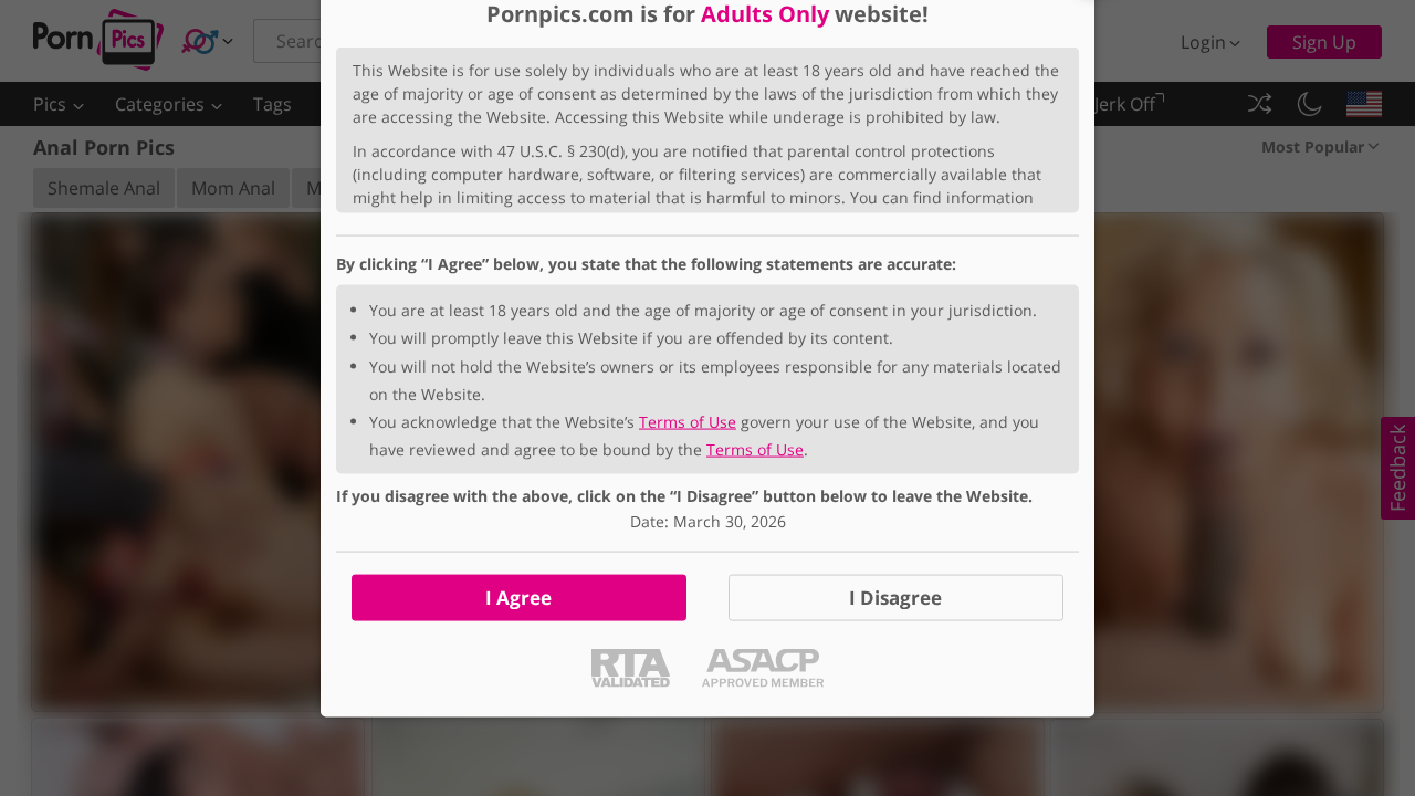 PornPics Anal screenshot