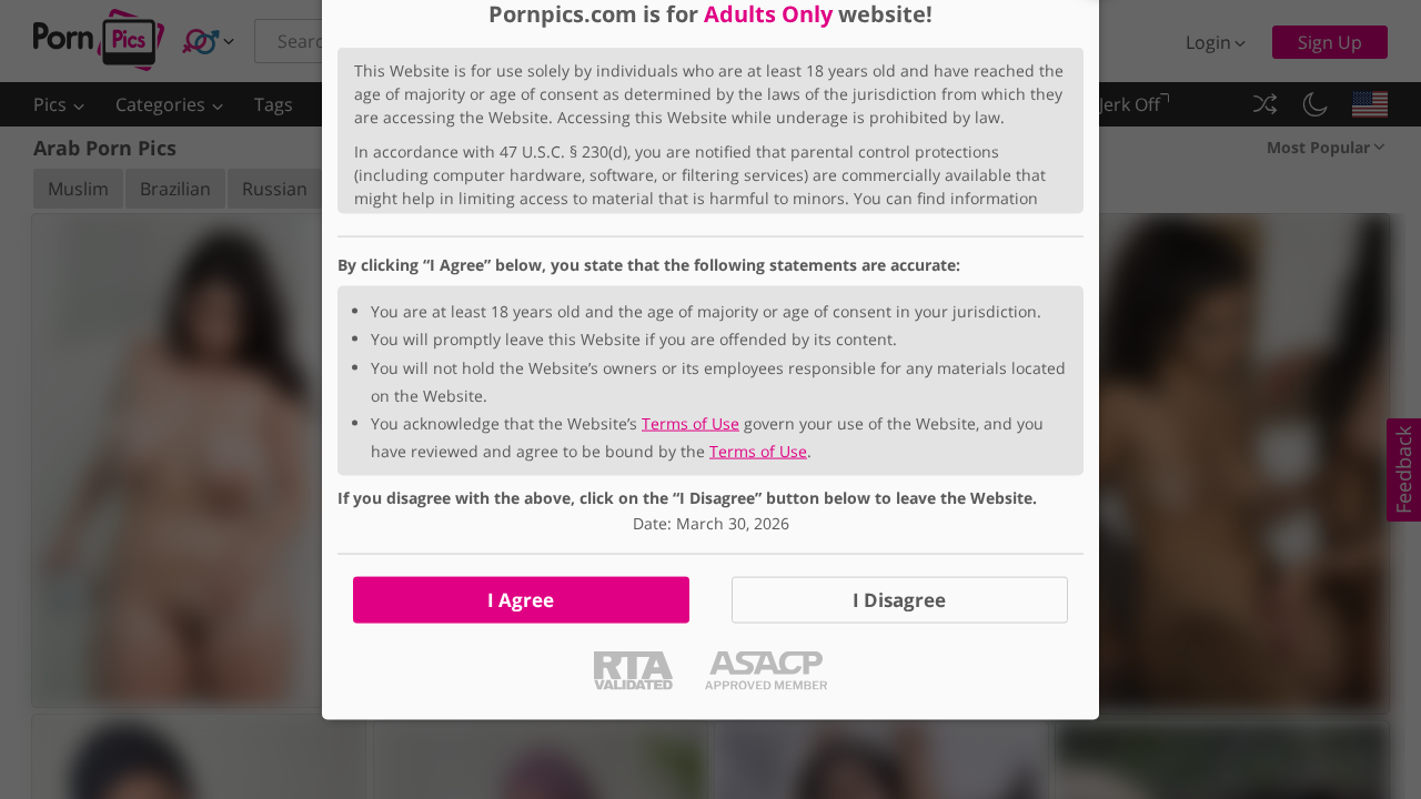 PornPics Arab screenshot