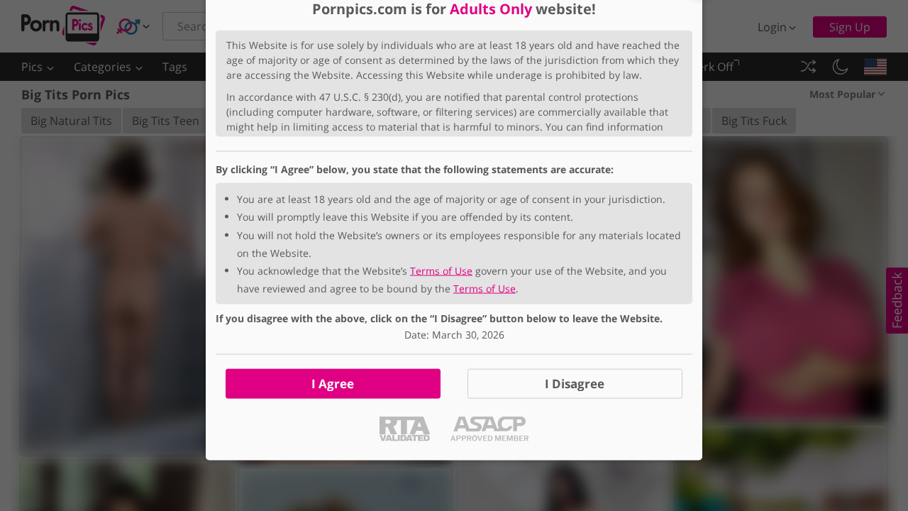 PornPics Big Tits screenshot