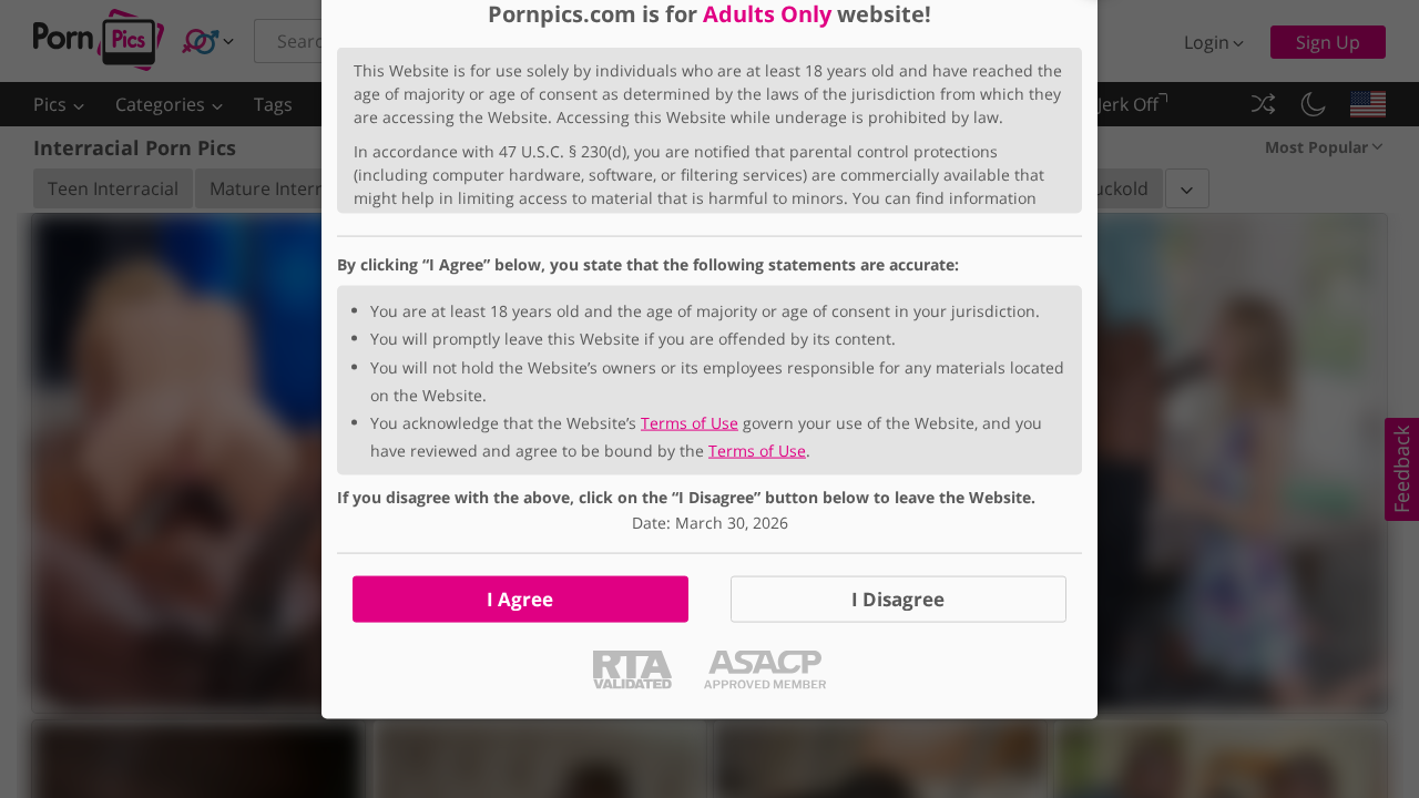 PornPics Interracial screenshot