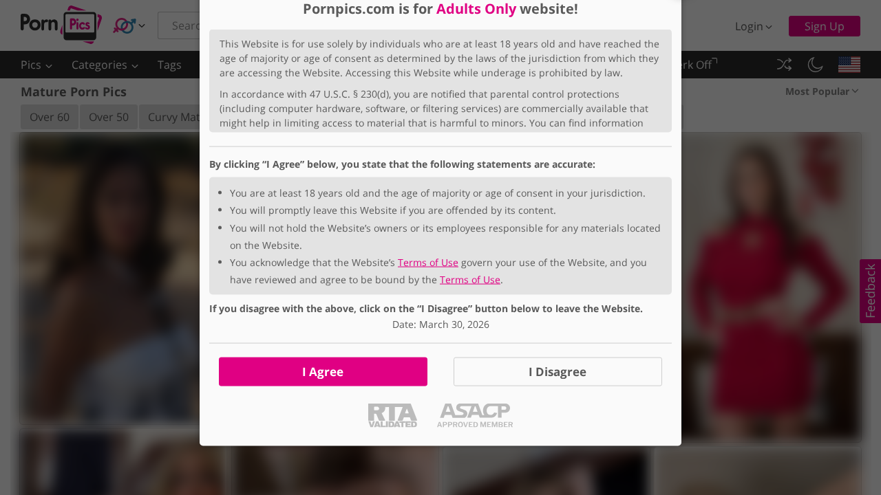 PornPics Mature screenshot
