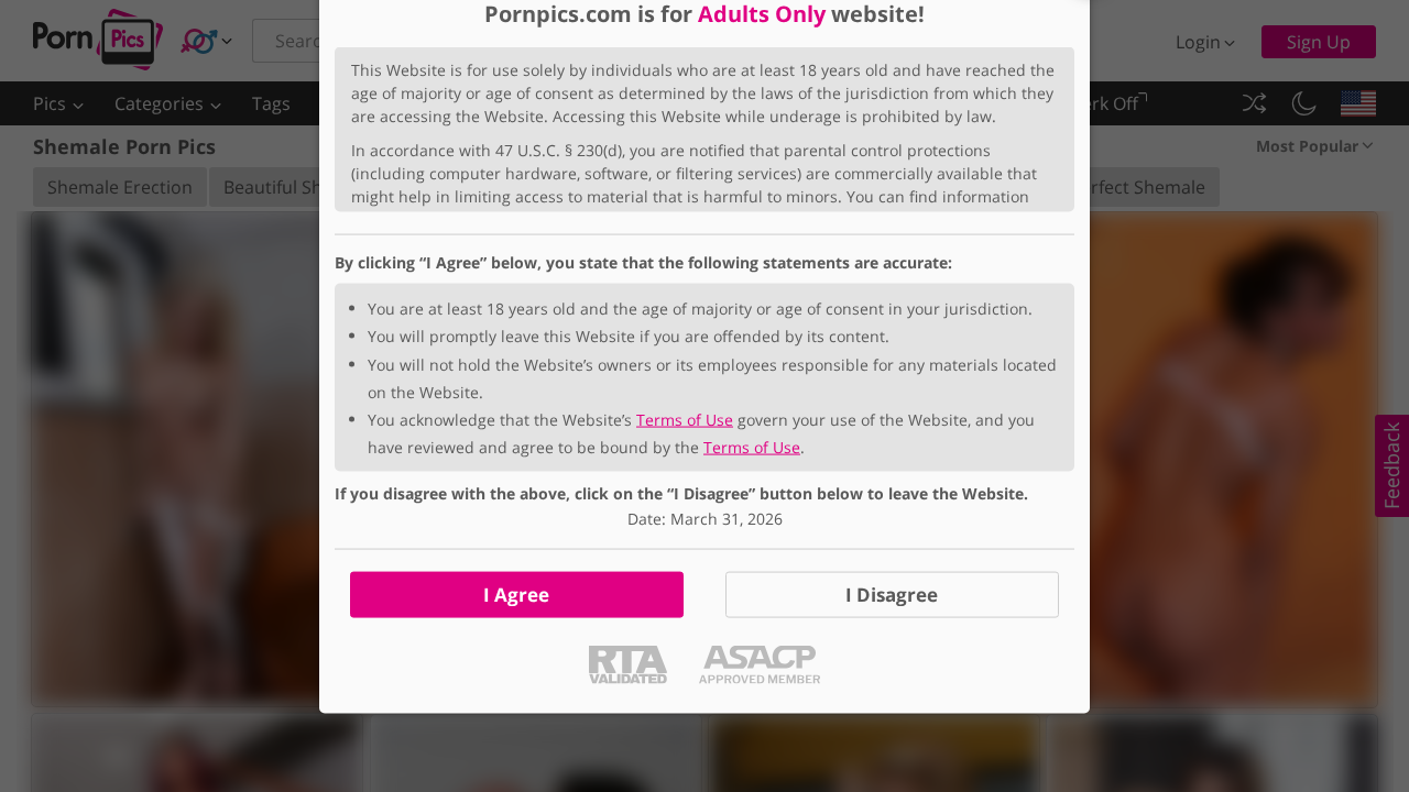 PornPics Trans screenshot