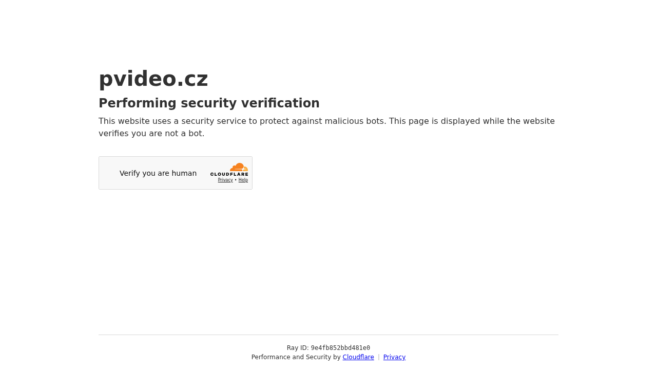 PVideo screenshot