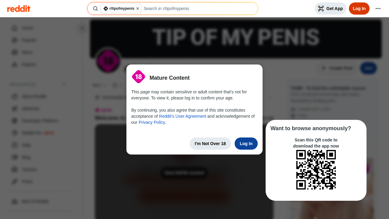 Reddit Tip Of My Penis screenshot
