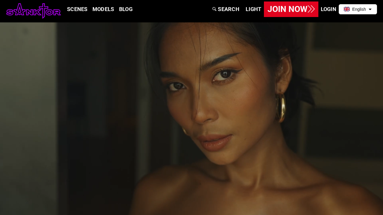 Sanktor screenshot