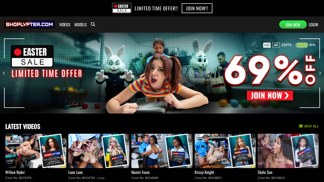 Shoplyfter screenshot