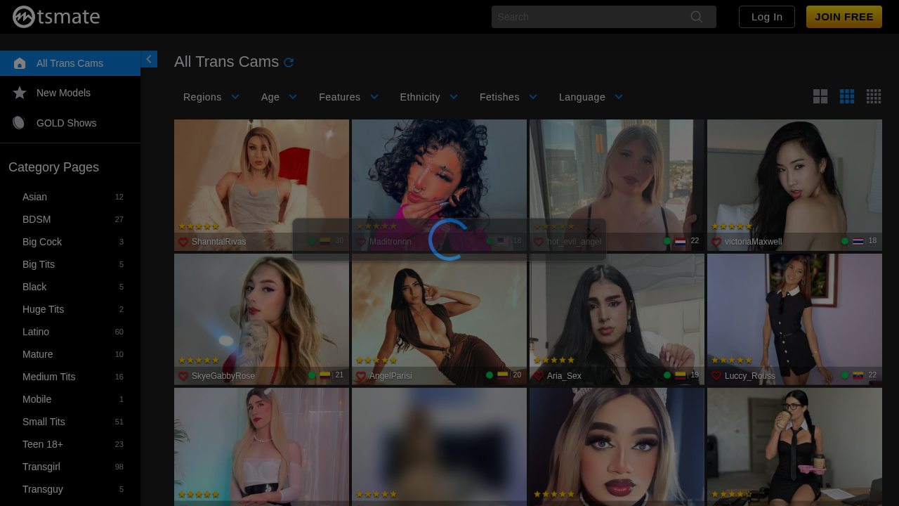 TSMate screenshot