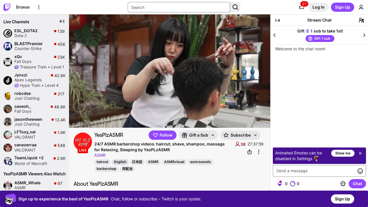 Twitch ASMR screenshot