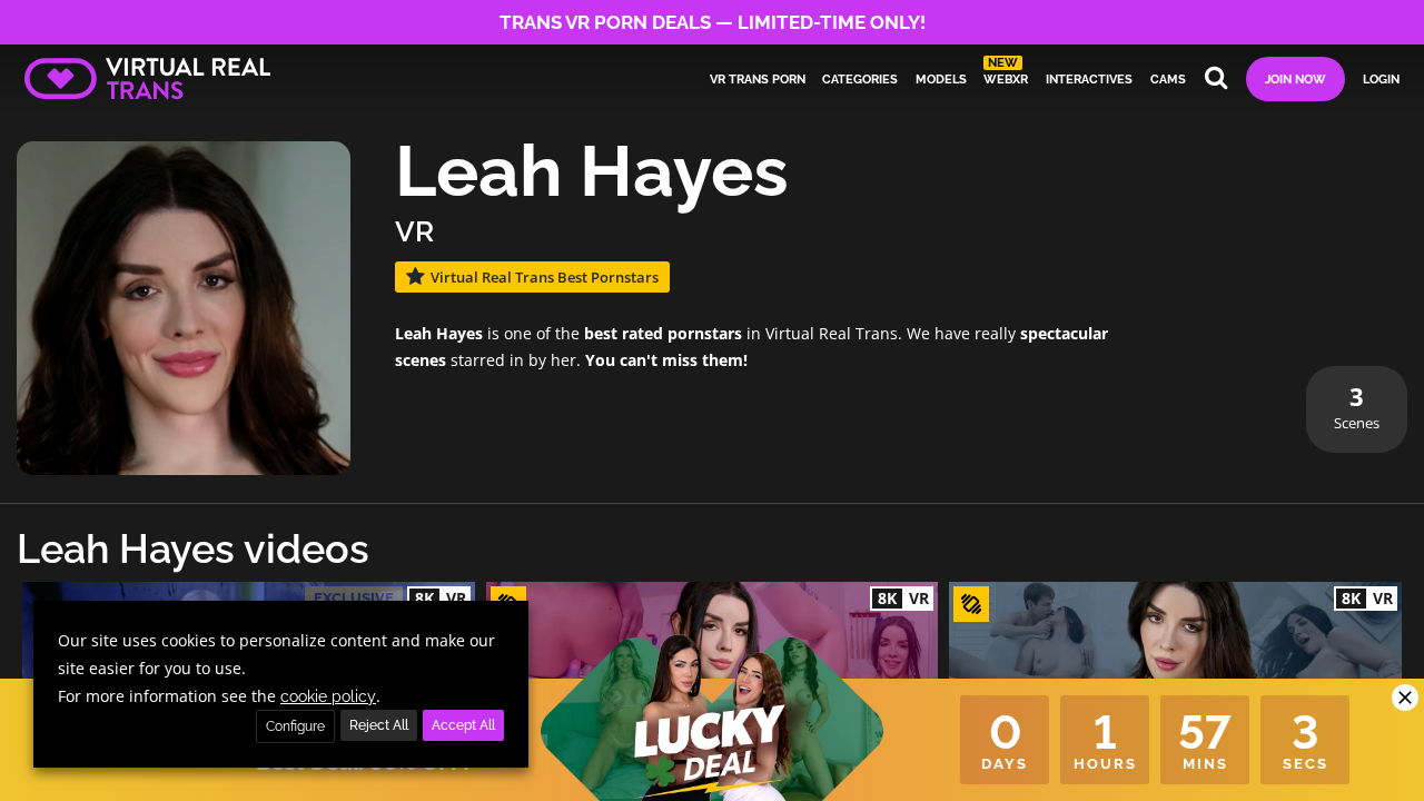 VirtualRealTrans screenshot